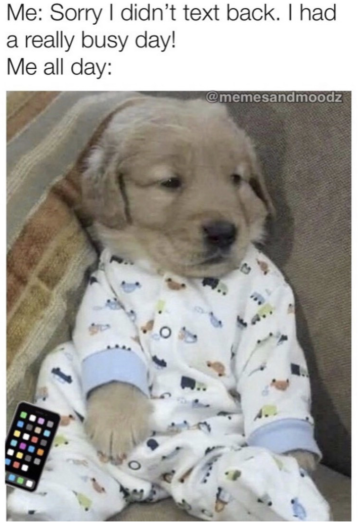 golden retriever puppy in pjs - Me Sorry I didn't text back. I had a really busy day! Me all day