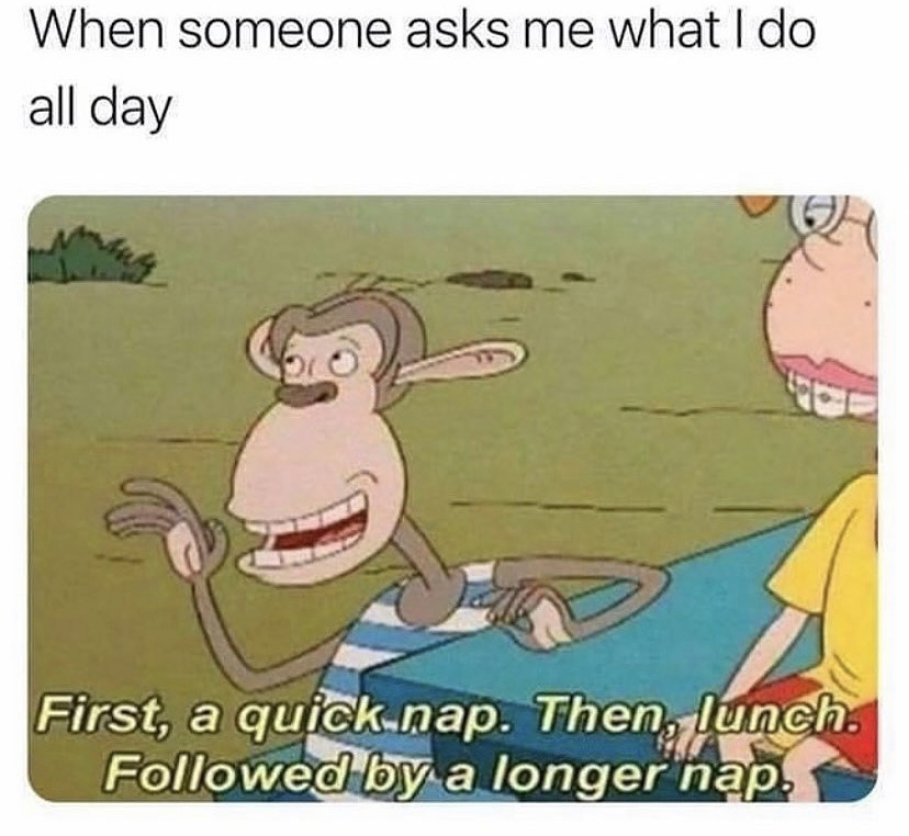 someone asks me what i do all day - When someone asks me what I do all day First, a quick nap. Then, lunch. ed by a longer nap.