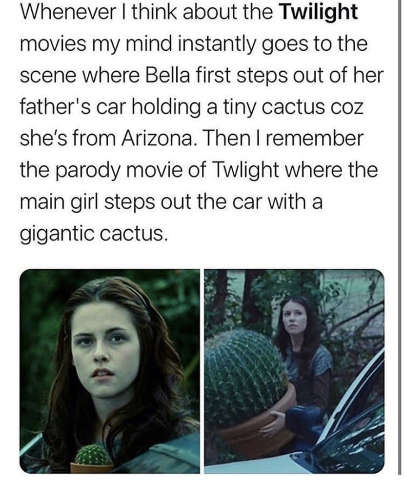 photo caption - Whenever I think about the Twilight movies my mind instantly goes to the scene where Bella first steps out of her father's car holding a tiny cactus coz she's from Arizona. Then I remember the parody movie of Twlight where the main girl st
