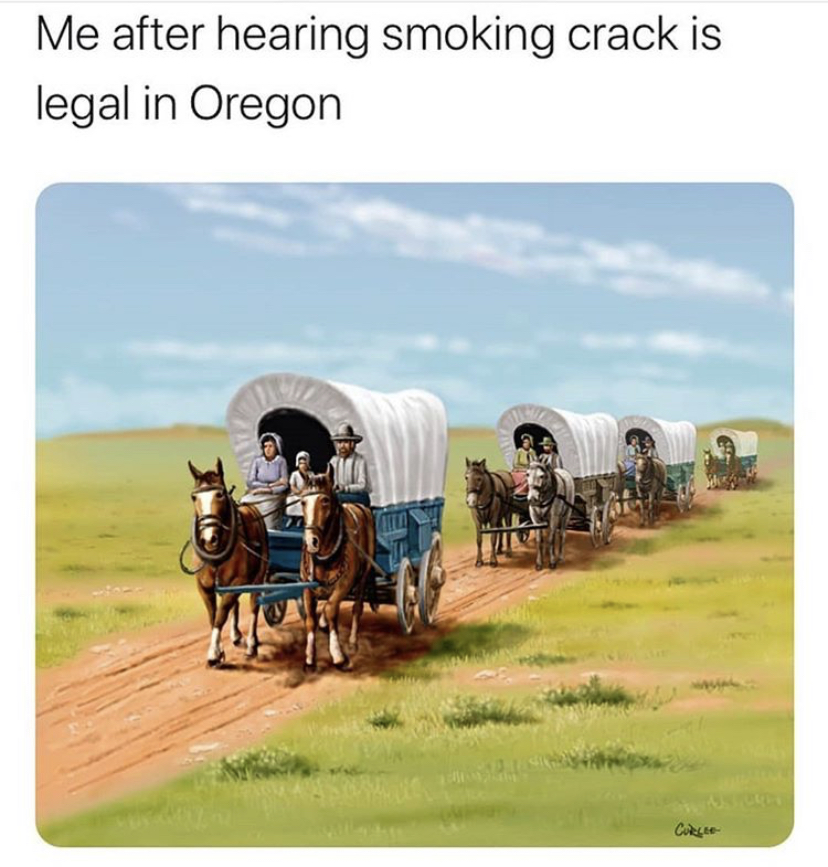 wagons west - Me after hearing smoking crack is legal in Oregon