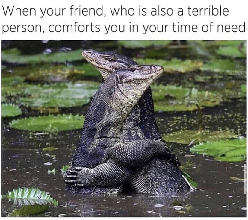 american alligator - When your friend, who is also a terrible person, comforts you in your time of need