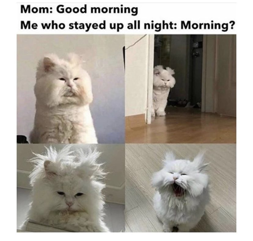 photo caption - Mom Good morning Me who stayed up all night Morning?