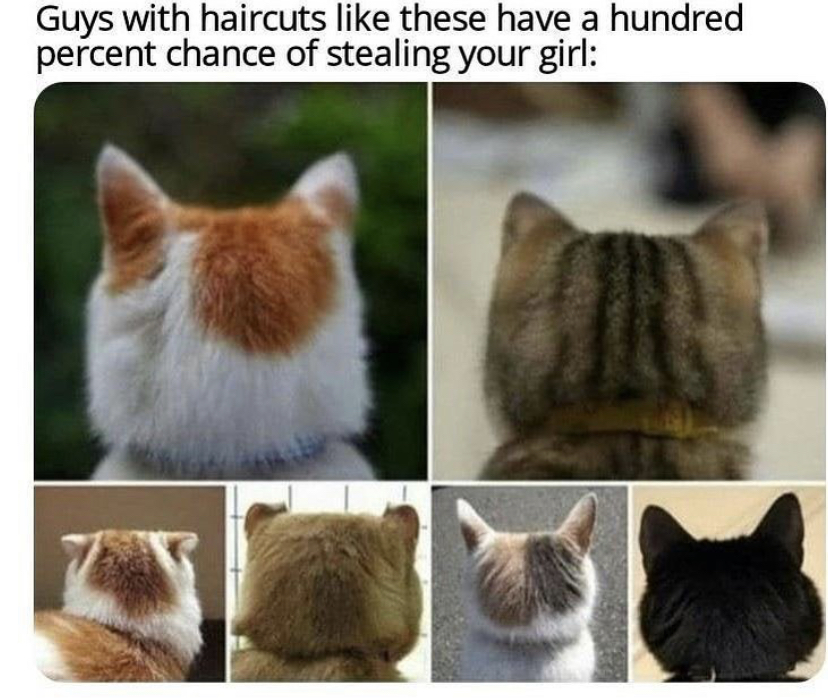 fauna - Guys with haircuts these have a hundred percent chance of stealing your girl