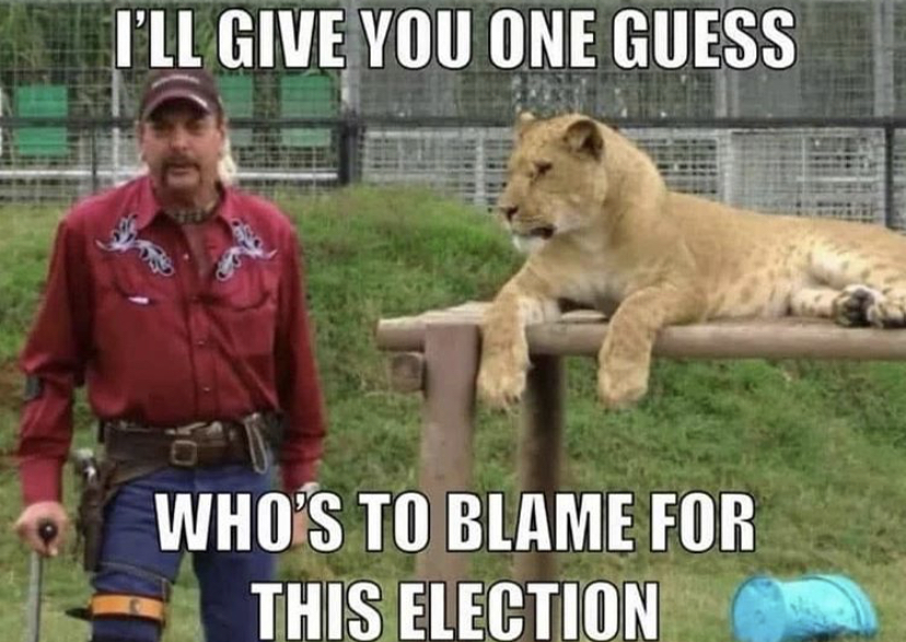 tiger king - I'Ll Give You One Guess Who'S To Blame For This Election