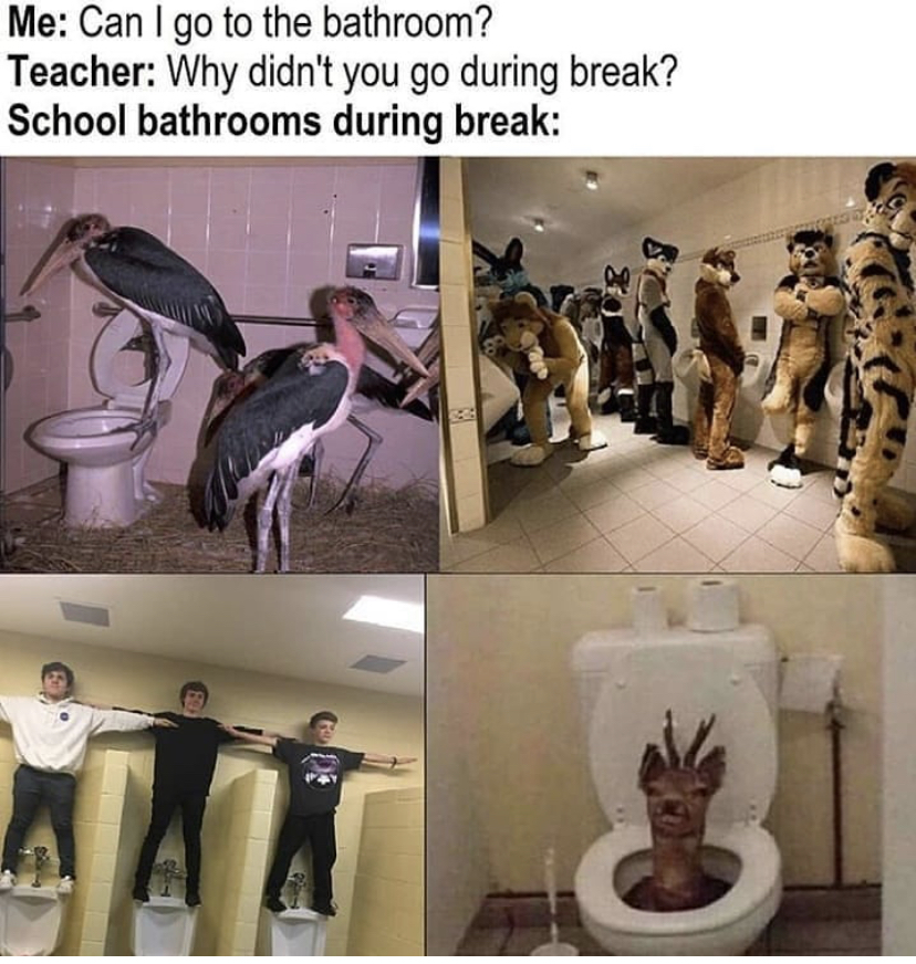 school bathroom memes - Me Can I go to the bathroom? Teacher Why didn't you go during break? School bathrooms during break