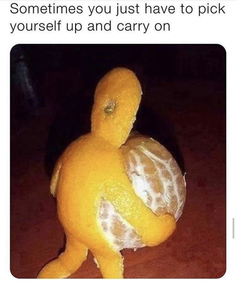 sometimes you just have to pick yourself up and carry on - Sometimes you just have to pick yourself up and carry on