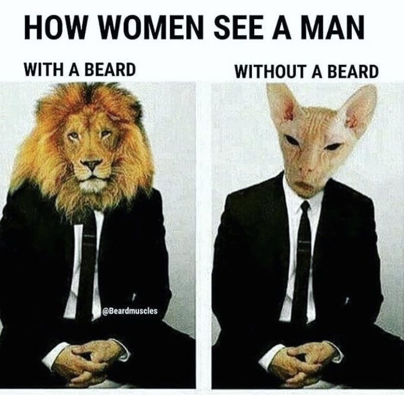 beard lion meme - How Women See A Man With A Beard Without A Beard