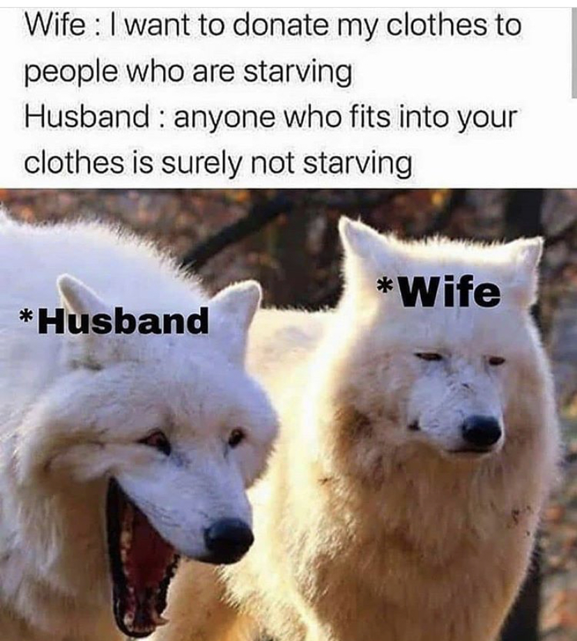 meme laughing wolves - Wife I want to donate my clothes to people who are starving Husband anyone who fits into your clothes is surely not starving Wife Husband