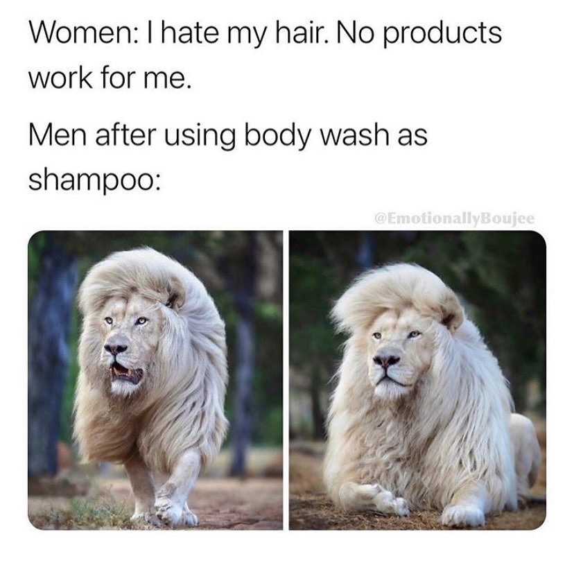 lion - Women Thate my hair. No products work for me. Men after using body wash as shampoo