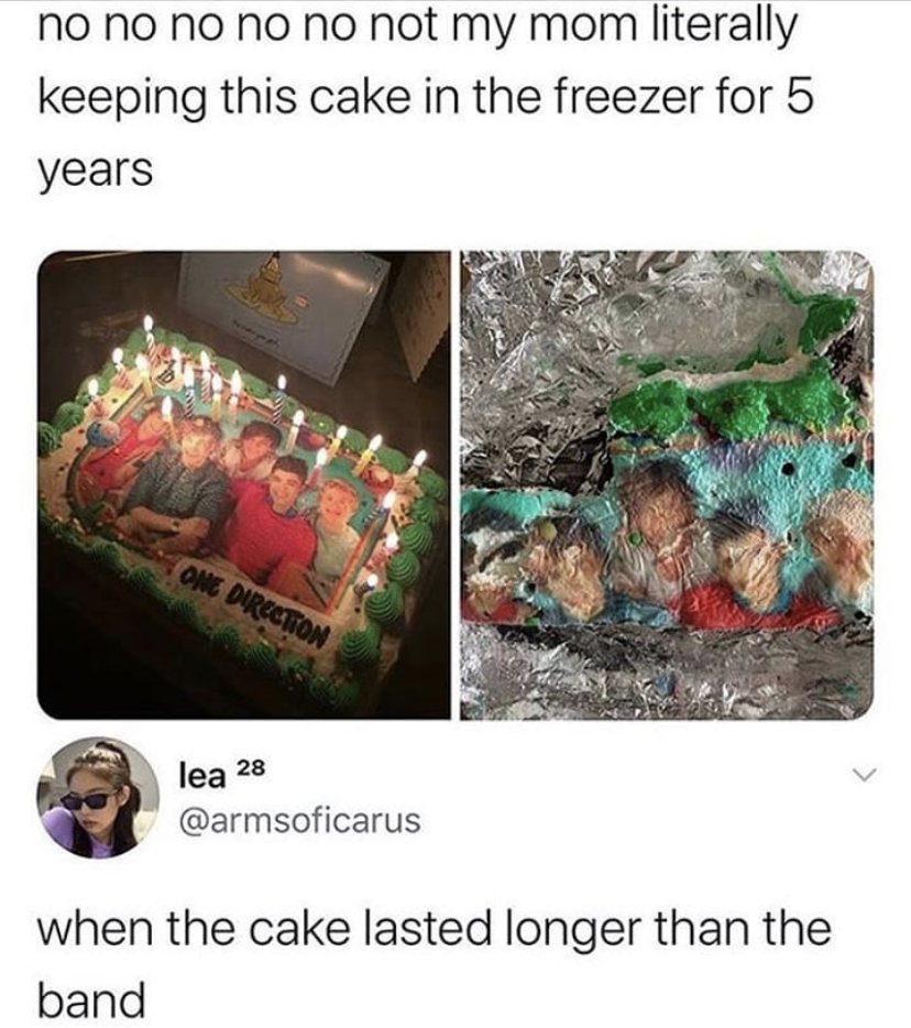 no no no no no not my mom literally keeping this cake in the freezer for 5 years One Direction lea 28 when the cake lasted longer than the band