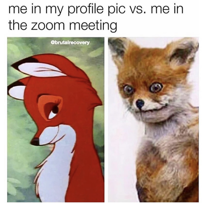 funny memes - me in my profile pic vs. me in the zoom meeting brutalrecovery