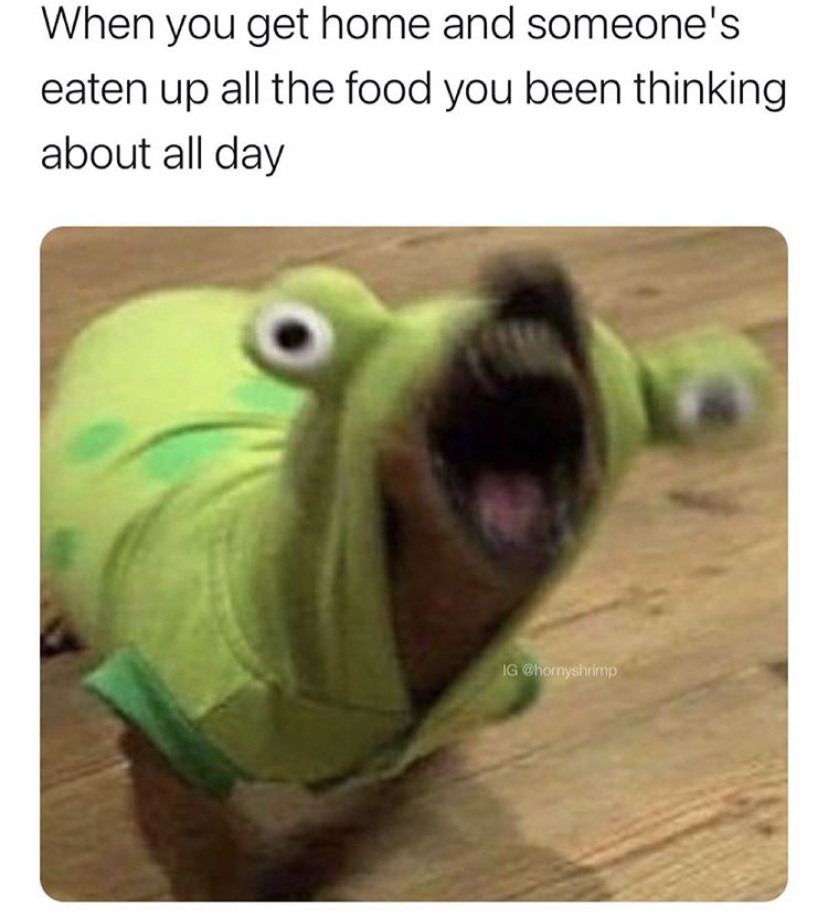 deadly memes - When you get home and someone's eaten up all the food you been thinking about all day 13 ani