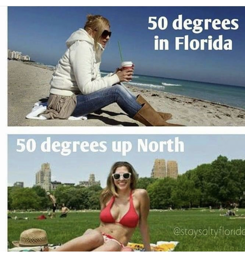 funny memes - vacation - 50 degrees in Florida 1 50 degrees up North