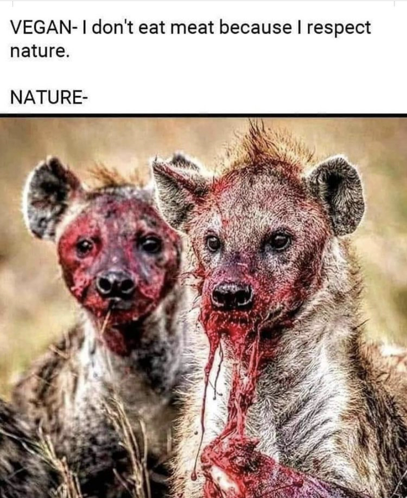 funny memes - funny hyena - VeganI don't eat meat because I respect nature. Nature