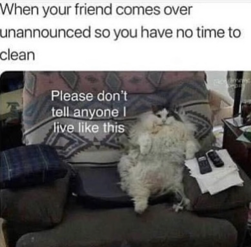 funny memes - your friend comes over unannounced - When your friend comes over unannounced so you have no time to clean Please don't tell anyone ! live this