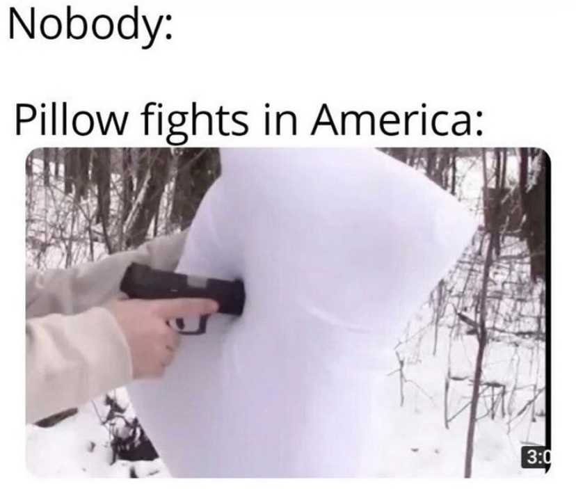 funny memes - Nobody Pillow fights in America