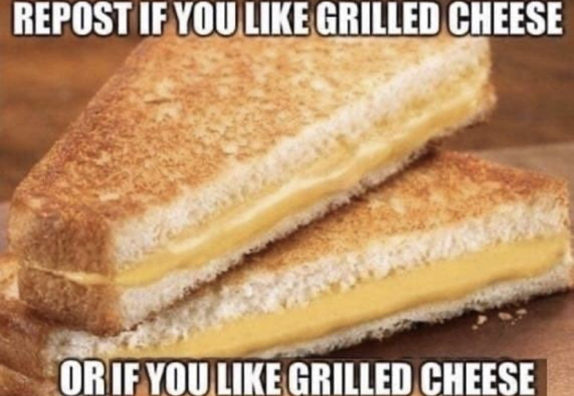 bread cheese sandwich - Repost If You Grilled Cheese Or If You Grilled Cheese