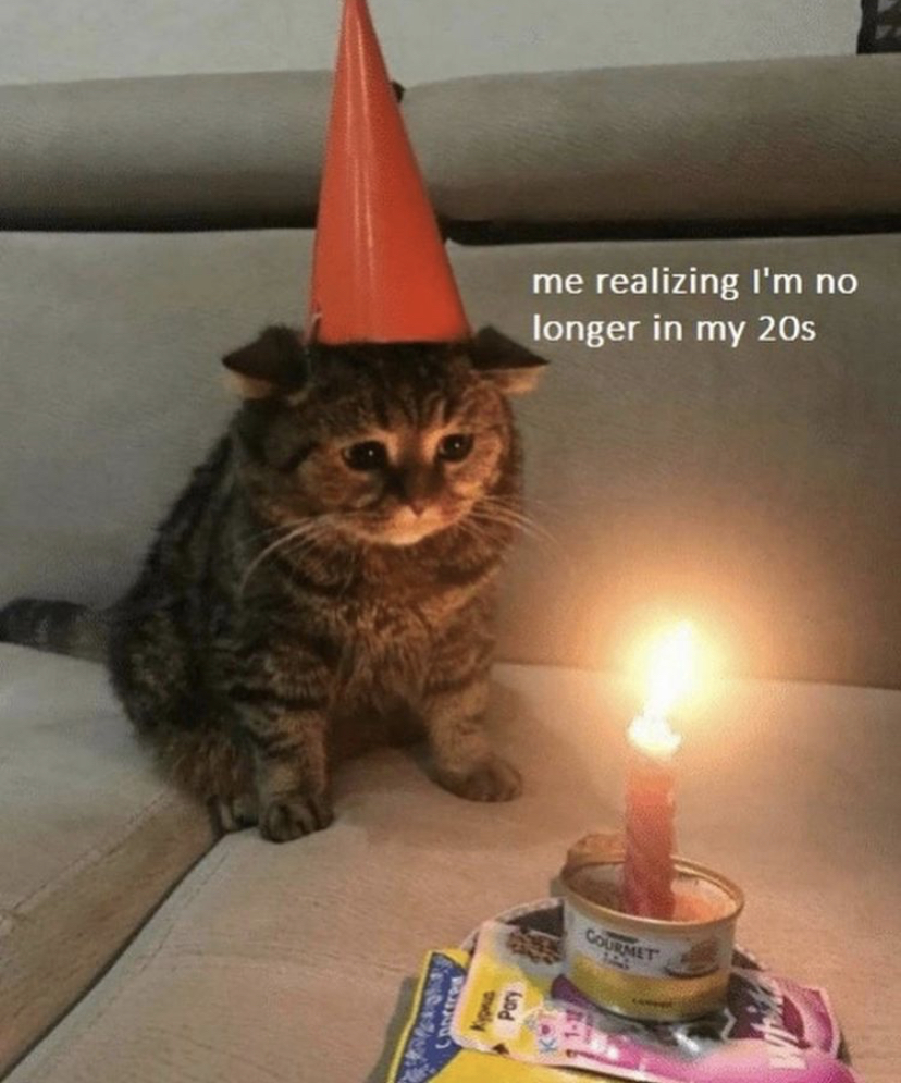 cursed birthday cat - me realizing I'm no longer in my 20s