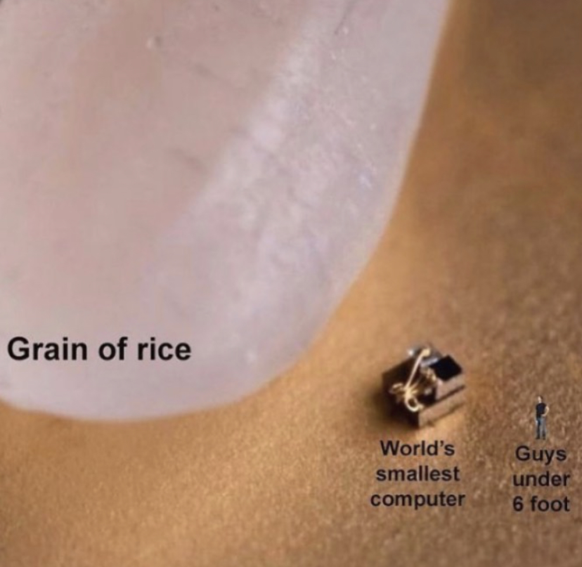 guys under 6 feet meme - Grain of rice World's smallest computer Guys under 6 foot