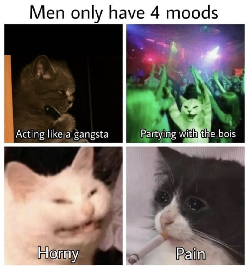 photo caption - Men only have 4 moods Acting a gangsta Partying with the bois Horny Pain