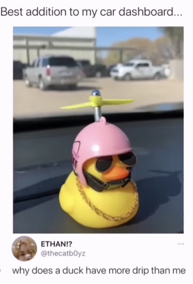 photo caption - Best addition to my car dashboard... Ethan!? why does a duck have more drip than me