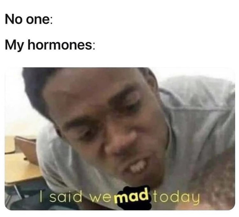 brain were sad today meme - No one My hormones said we mad today
