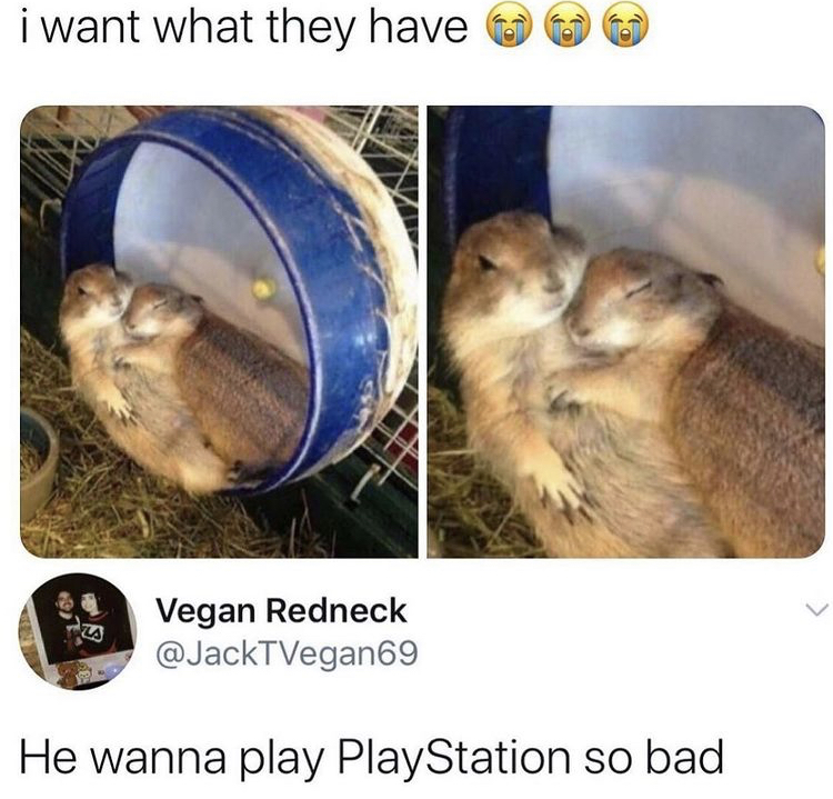 he wanna play playstation so bad - i want what they have to Vegan Redneck He wanna play PlayStation so bad