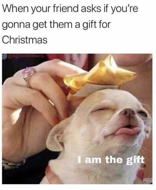 am the gift meme - When your friend asks if you're gonna get them a gift for Christmas I am the gift