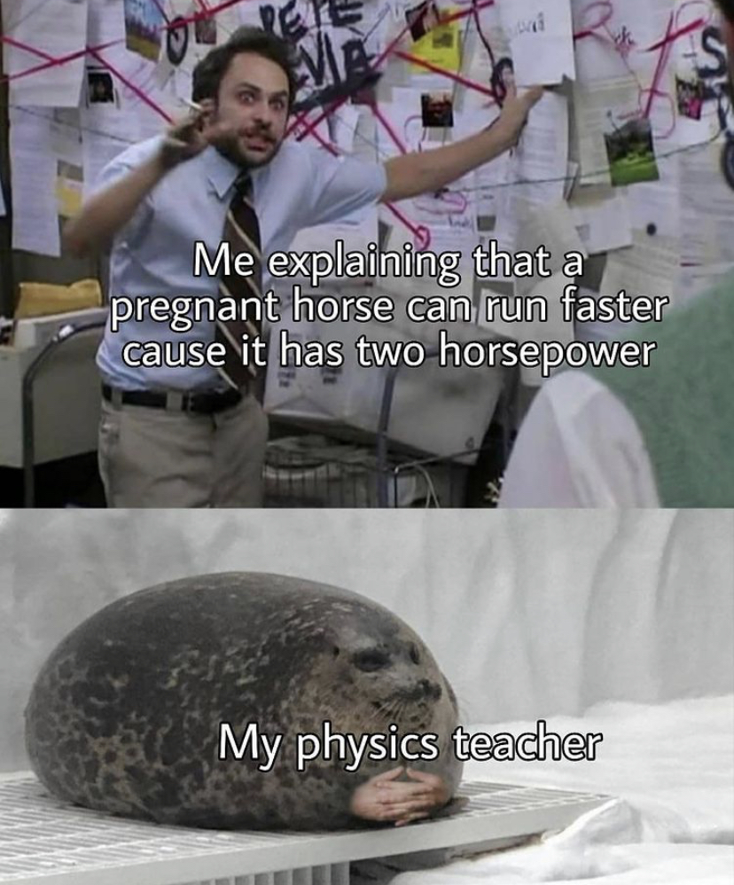 explaining seal meme - Me explaining that a pregnant horse can run faster cause it has two horsepower My physics teacher