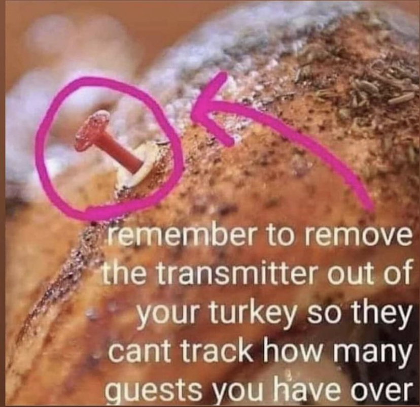 turkey thermometer pop up - remember to remove the transmitter out of your turkey so they cant track how many guests you have over