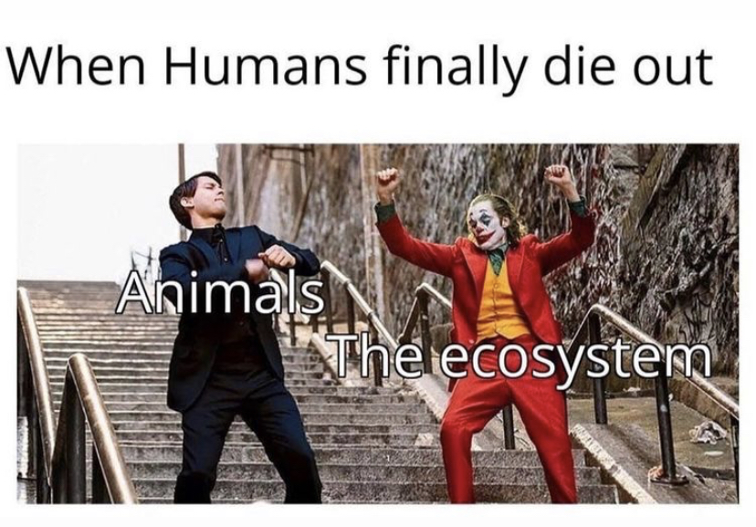 saturdays are for the boys meme - When Humans finally die out Animals The ecosystem
