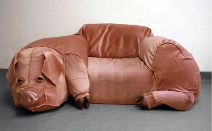 pig couch