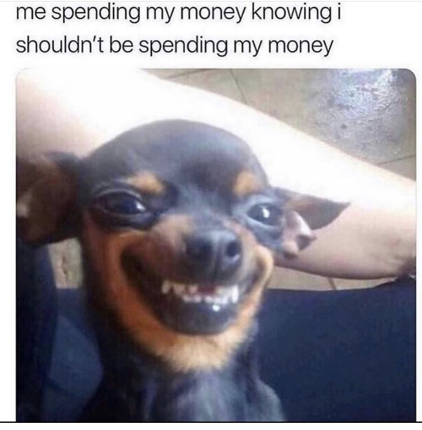dog reaction meme - me spending my money knowing i shouldn't be spending my money