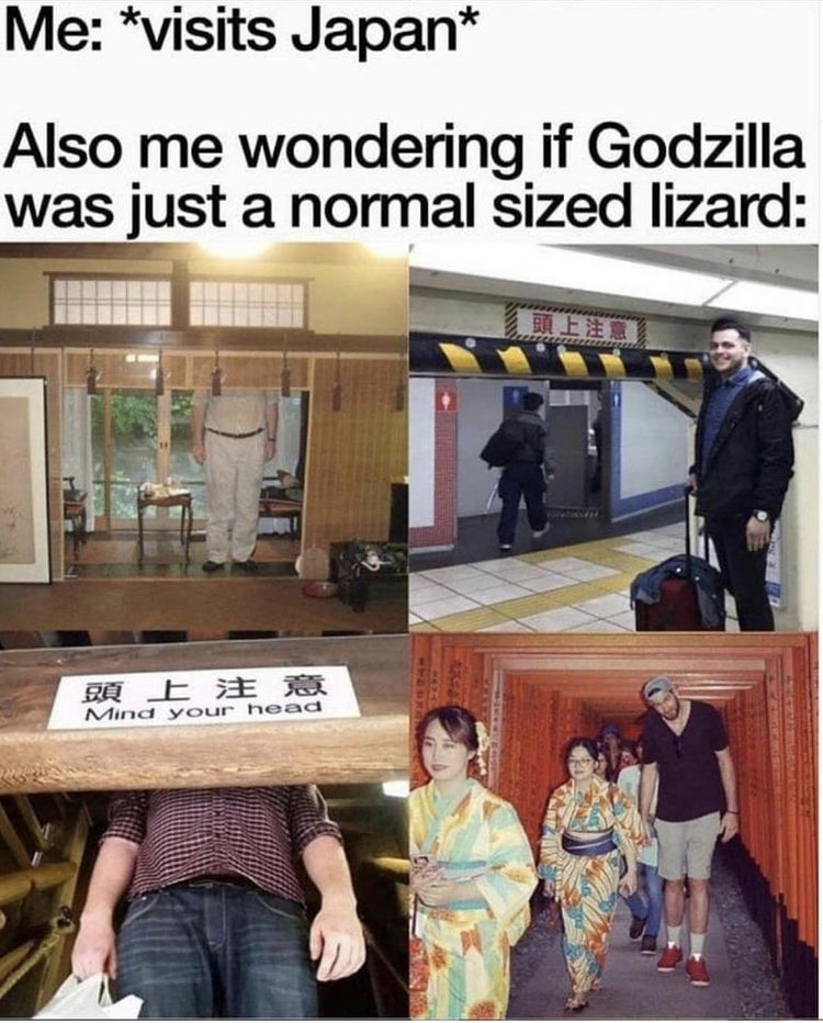 godzilla normal size lizard meme - Me visits Japan Also me wondering if Godzilla was just a normal sized lizard En Een Mind your head