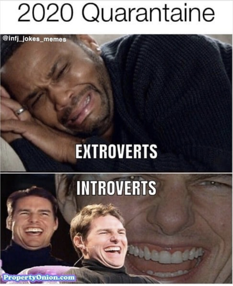 funny coronavirus memes - 2020 Quarantaine Extroverts Introverts PropertyOnion.com