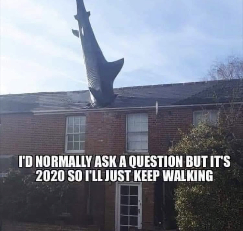 meme - I'D Normally Ask A Question But It'S 2020 So I'Ll Just Keep Walking