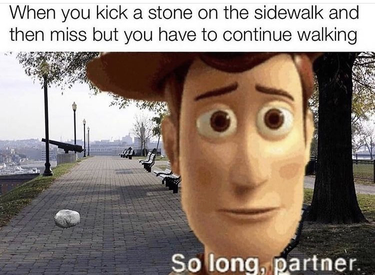 horrible memes - When you kick a stone on the sidewalk and then miss but you have to continue walking So long, partner.