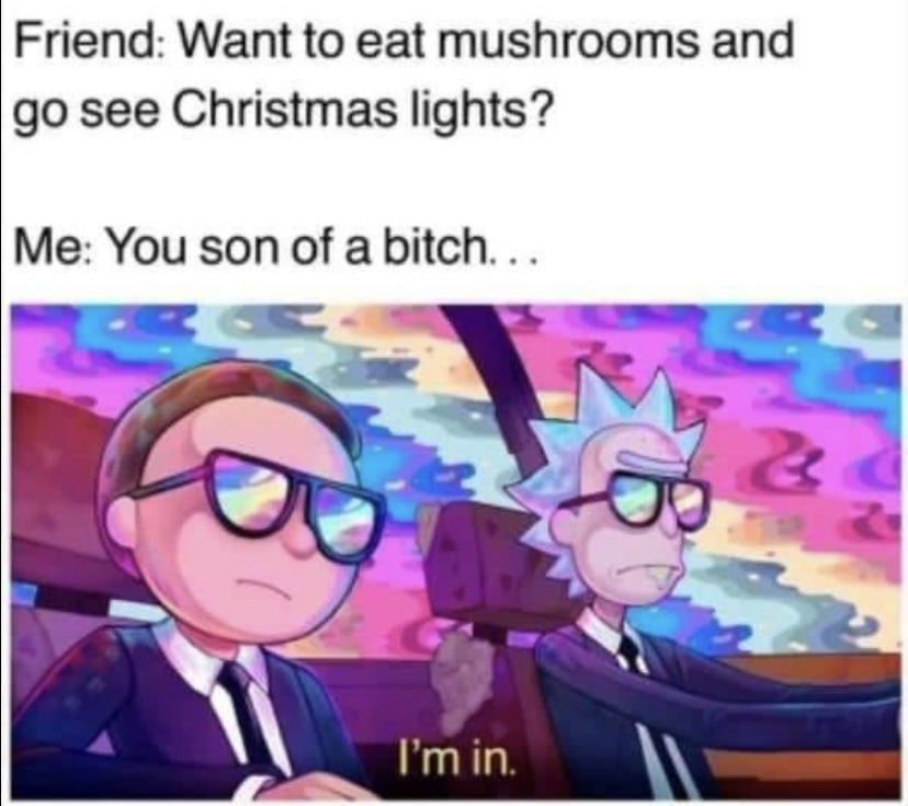 rick and morty season 4 episode 6 online - Friend Want to eat mushrooms and go see Christmas lights? Me You son of a bitch... & 2 I'm in.