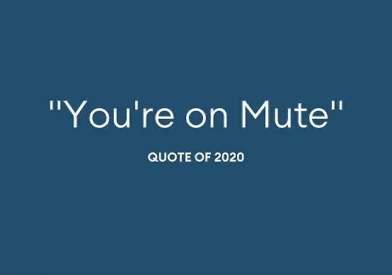 you re on mute 2020 - "You're on Mute" Quote Of 2020