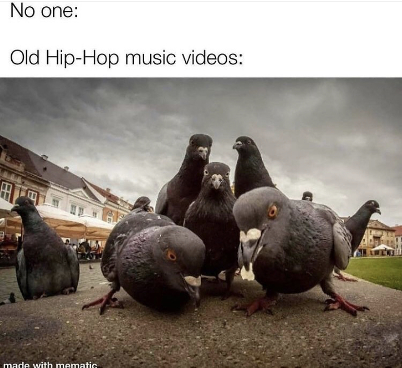 funny memes - animal album covers - No one Old HipHop music videos made with mematic