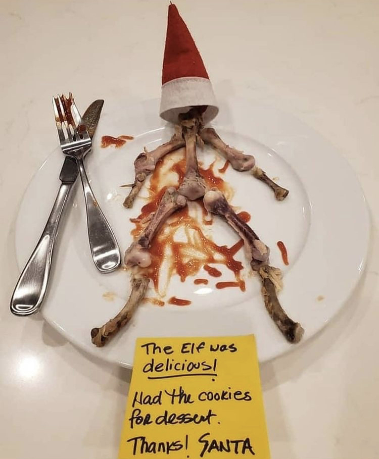 funny memes - elf was delicious - The Elf was delicious! Had the cookies for dessert. Thanks! Santa