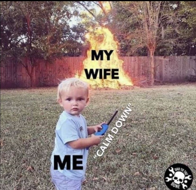 funny memes - Marriage - My Wife "Calm Down Me Ad Bone