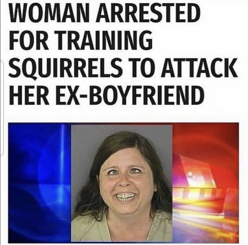 funny memes - photo caption - Woman Arrested For Training Squirrels To Attack Her ExBoyfriend