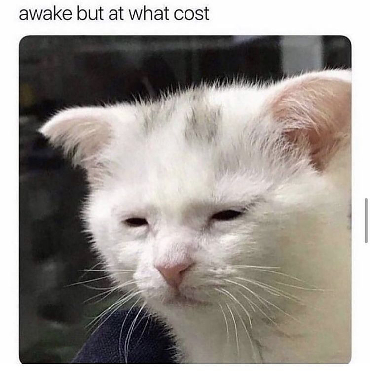 funny memes - awake but at what cost - awake but at what cost