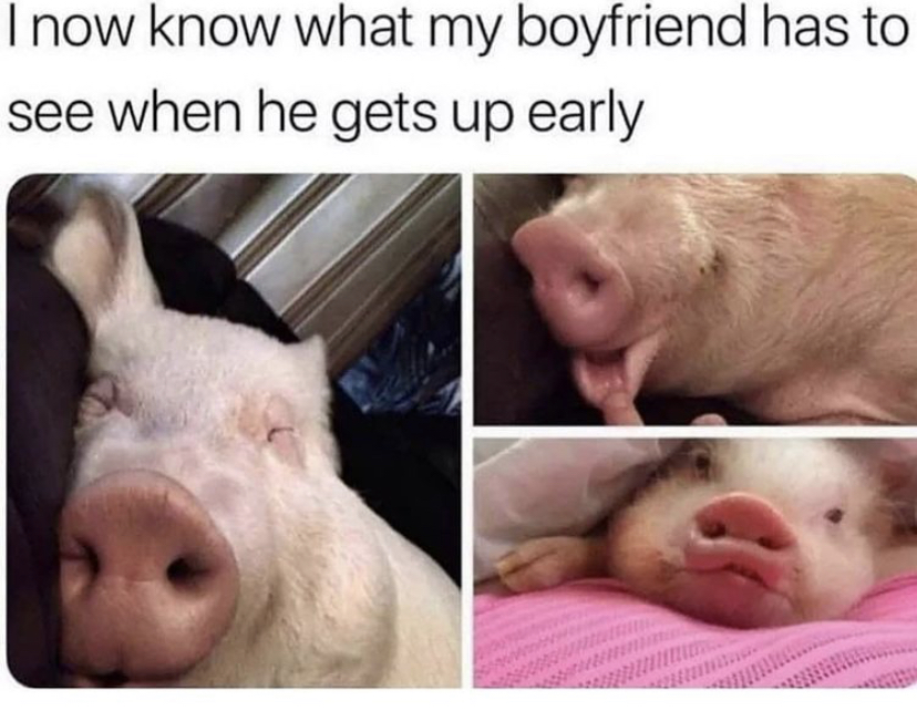 funny memes - my boyfriend sees meme - I now know what my boyfriend has to see when he gets up early