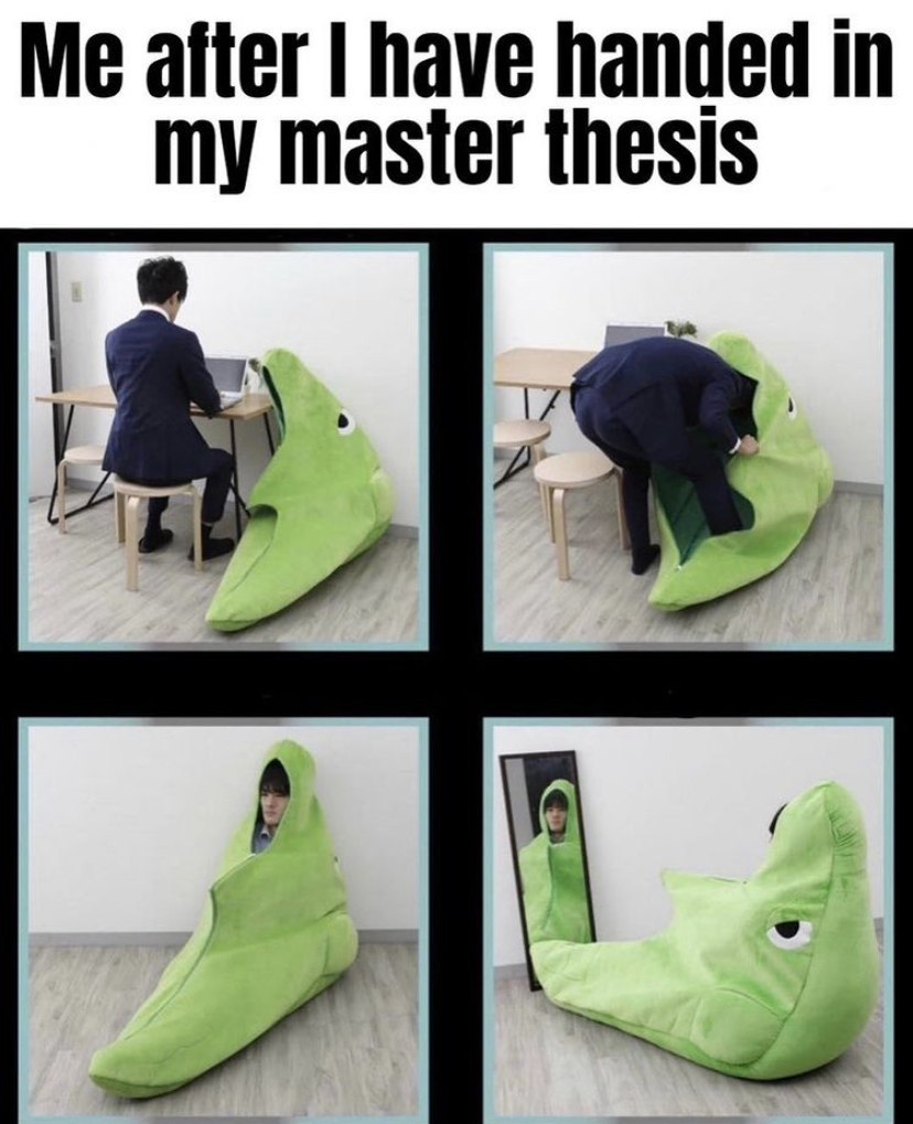 funny memes - metapod suit - Me after I have handed in my master thesis Tz