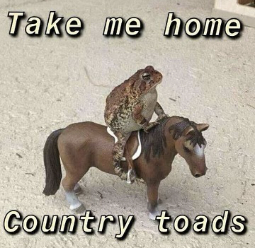 toad on a horse - Take me home Country toads