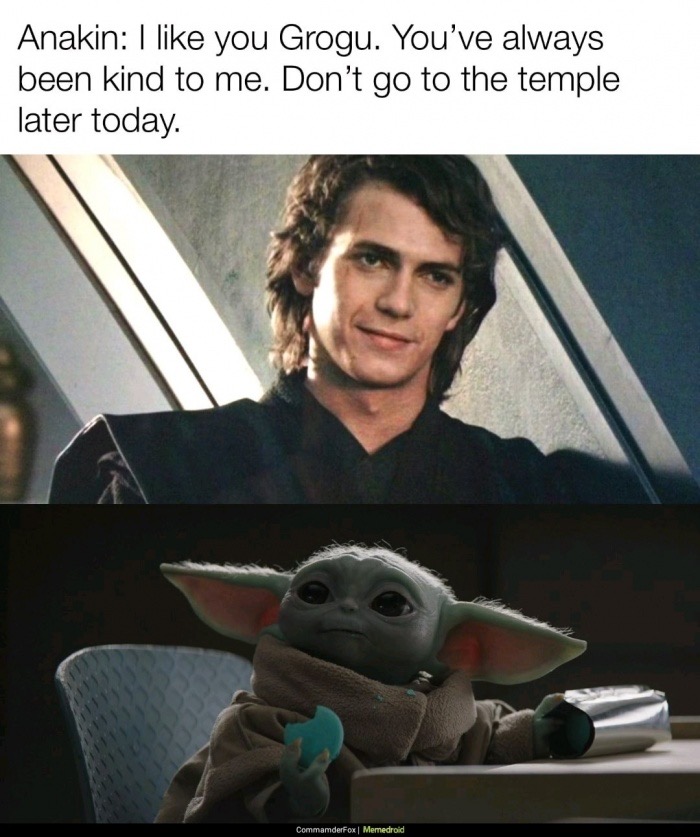 baby yoda eating macarons - Anakin I you Grogu. You've always been kind to me. Don't go to the temple later today. CommamderFox | Memedroid