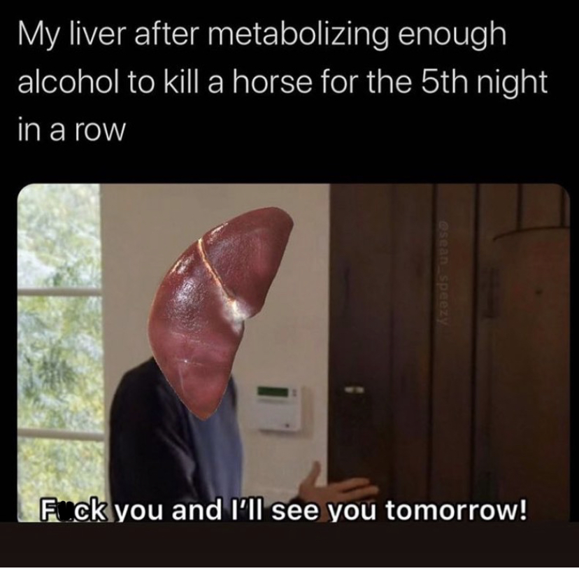 me to the laundry pile i haven t folded in a week meme - My liver after metabolizing enough alcohol to kill a horse for the 5th night in a row Osean speezy Fuck you and I'll see you tomorrow!