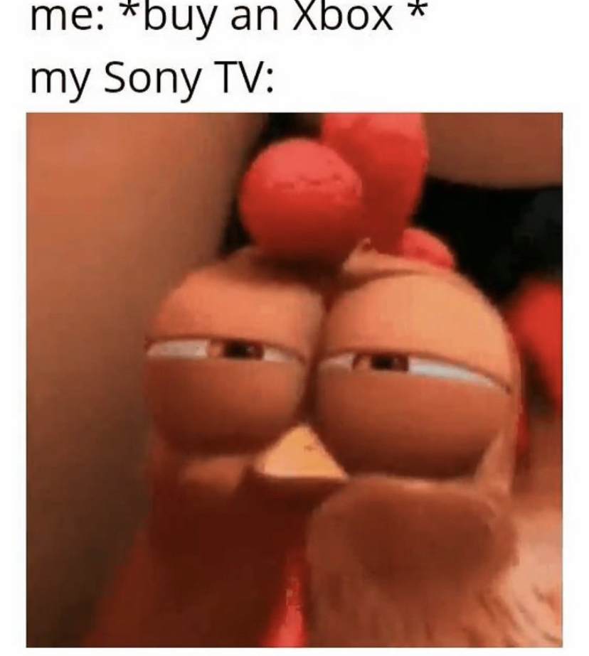 Suspicious Chicken - me buy an Xbox my Sony Tv